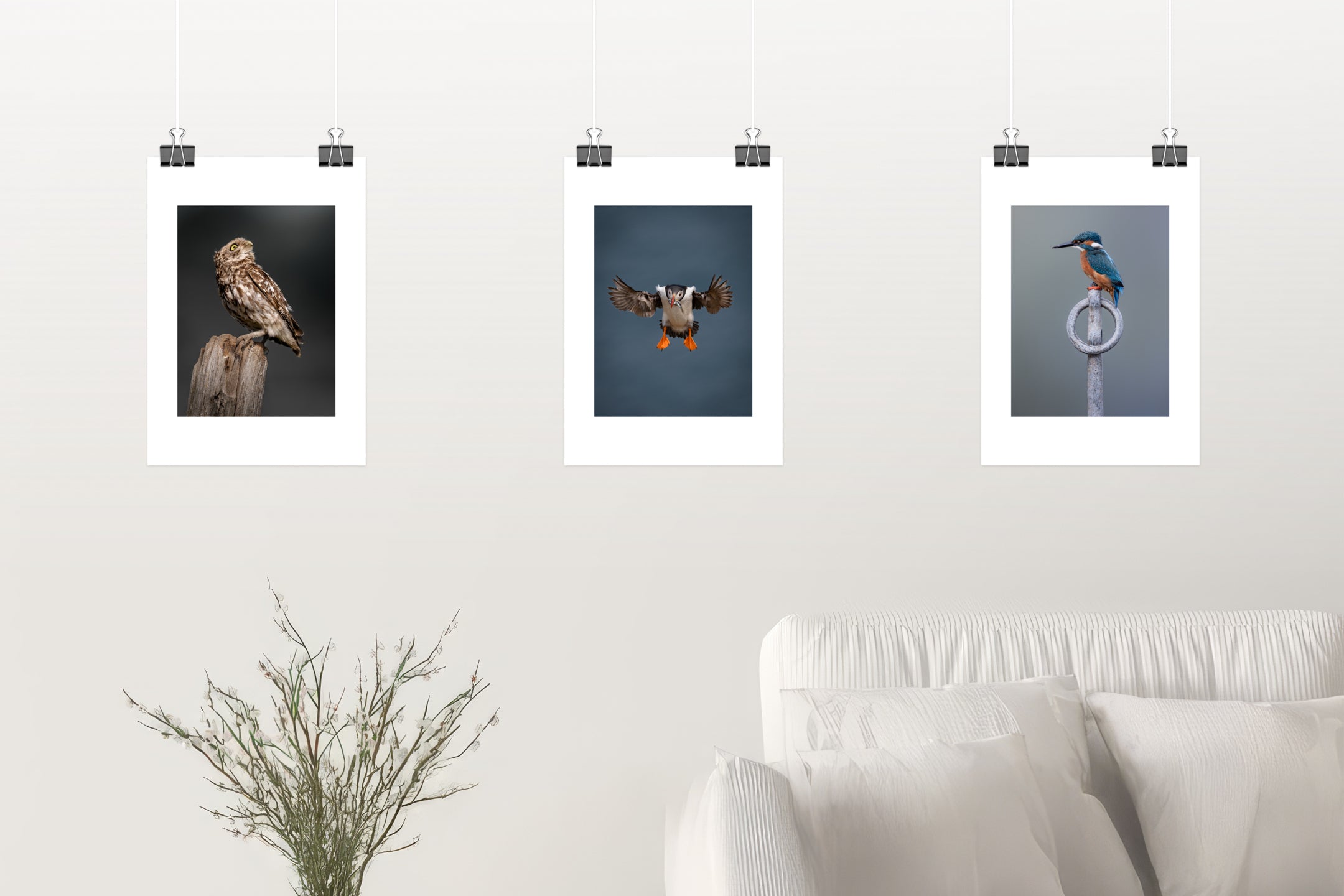 Wildlife Prints
