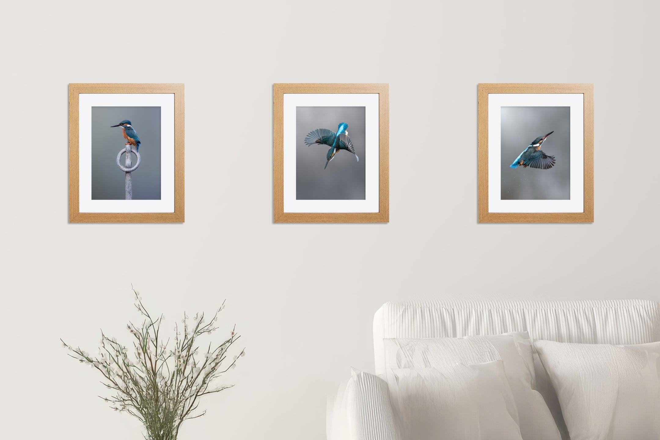 Framed Wildlife Prints
