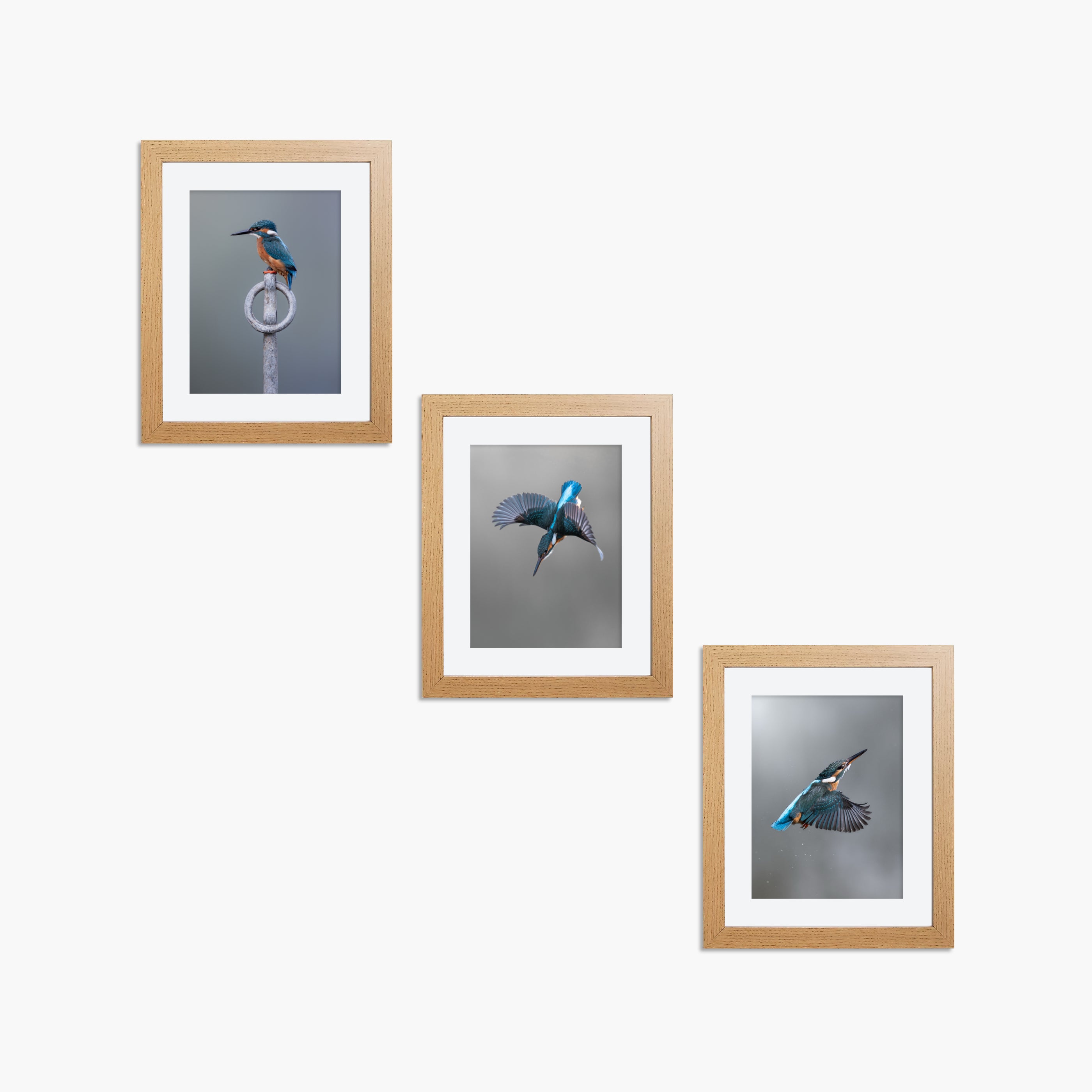 Kingfisher Framed 8x6" Mini Prints (Set of 3)