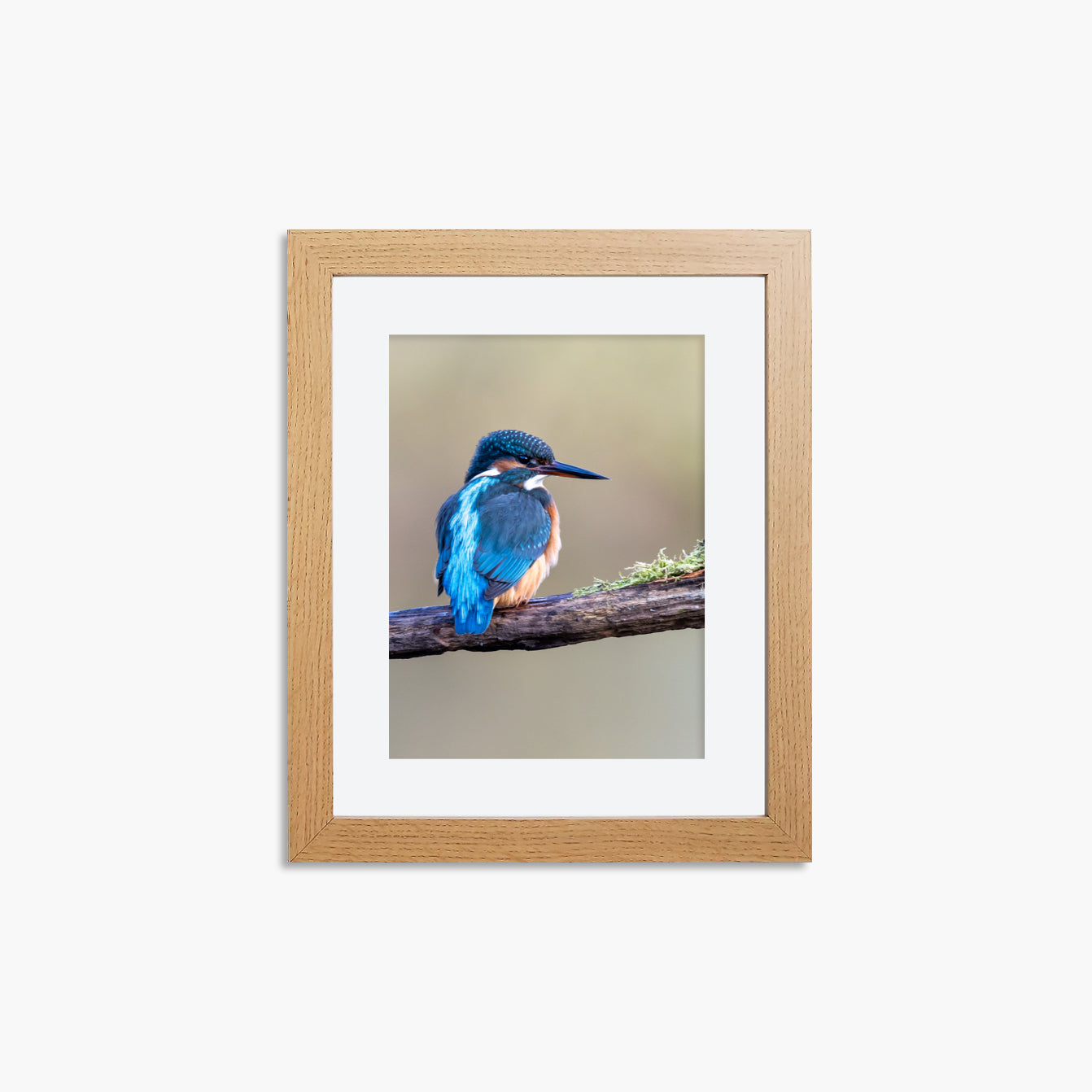 Kingfisher Framed 8x6" Prints (Set of 3)
