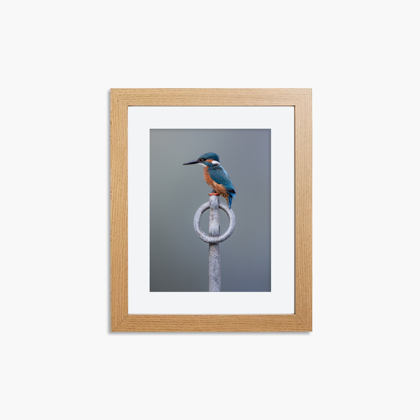 Kingfisher Framed 8x6" Mini Prints (Set of 3)