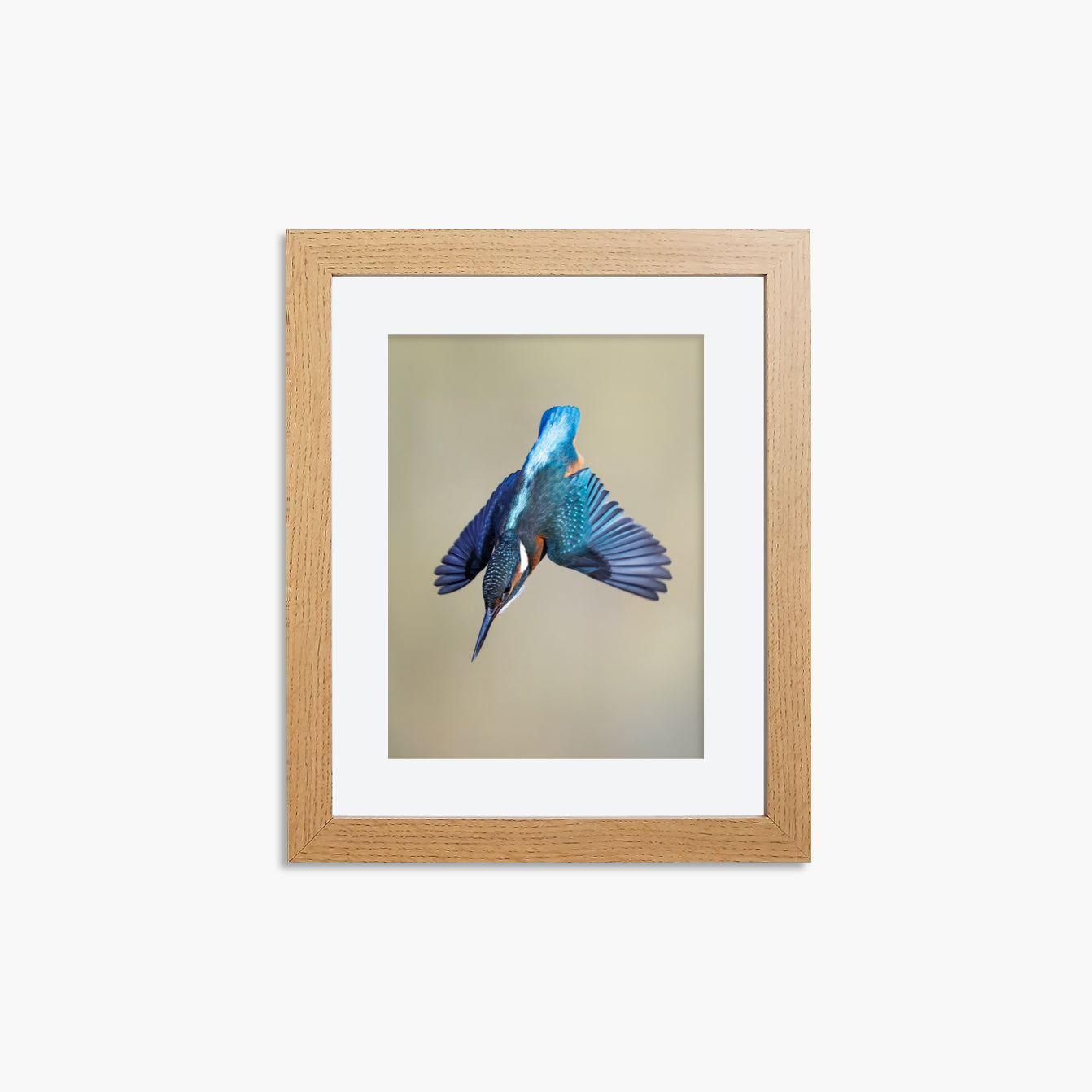 Kingfisher Framed 8x6" Print - Dive
