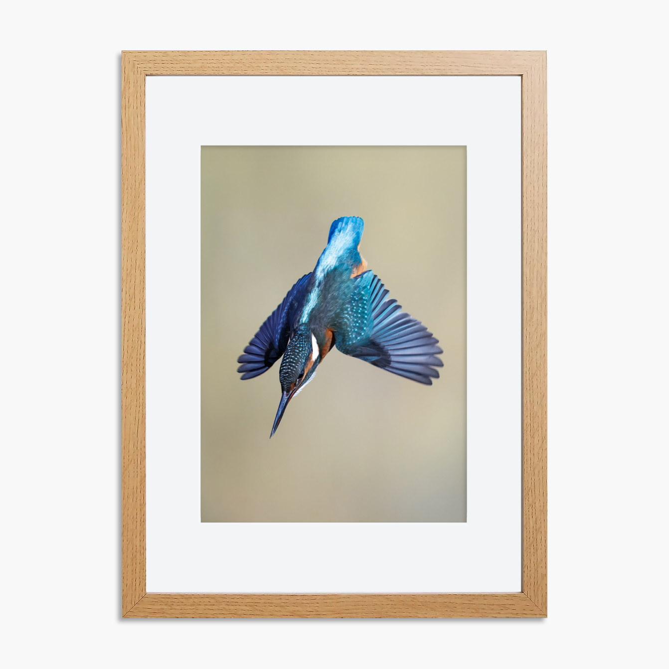 Kingfisher Framed A4 Prints (Set of 3)