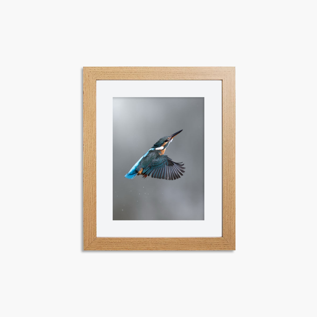 Kingfisher Framed 8x6" Mini Prints (Set of 3)