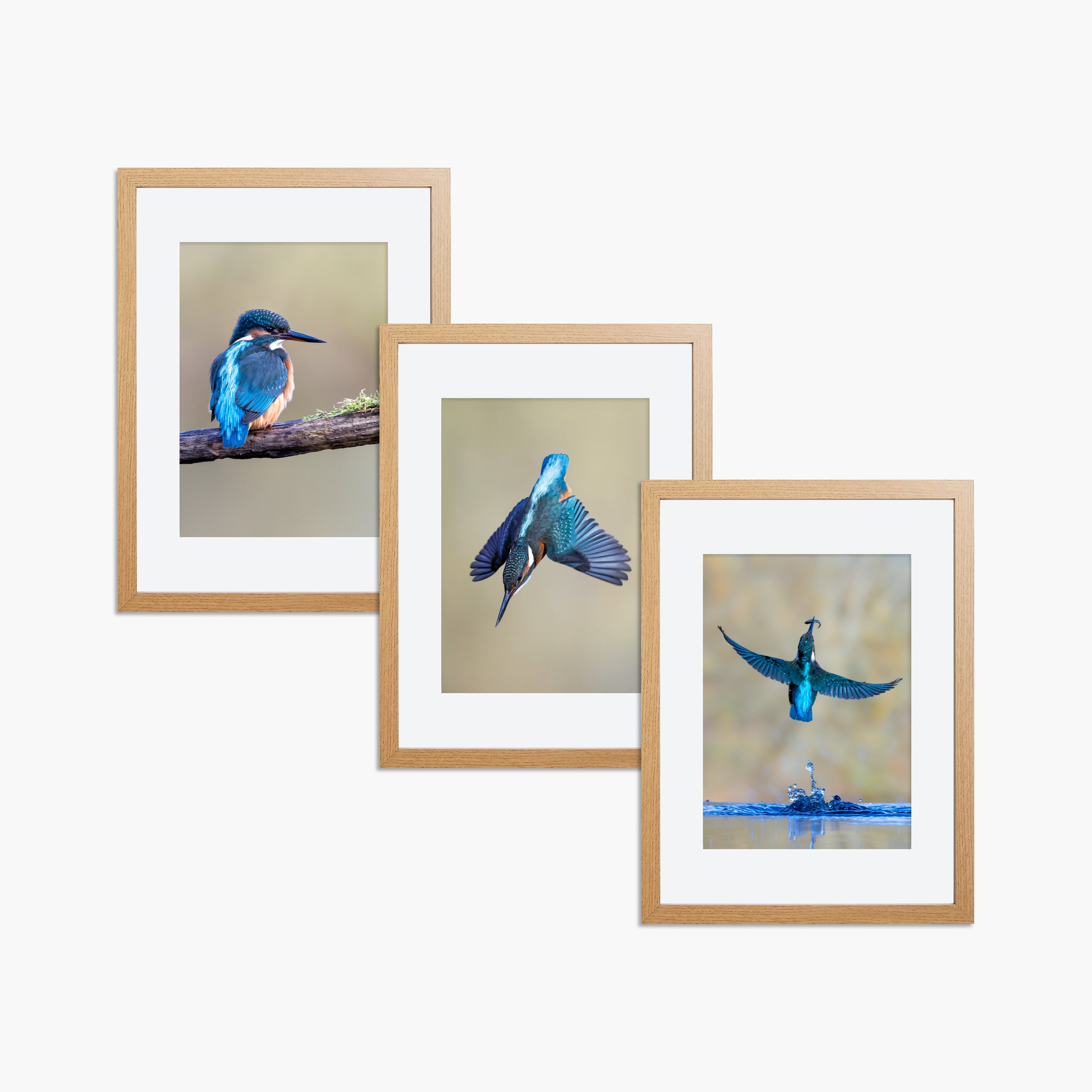 Kingfisher Framed A4 Prints (Set of 3)