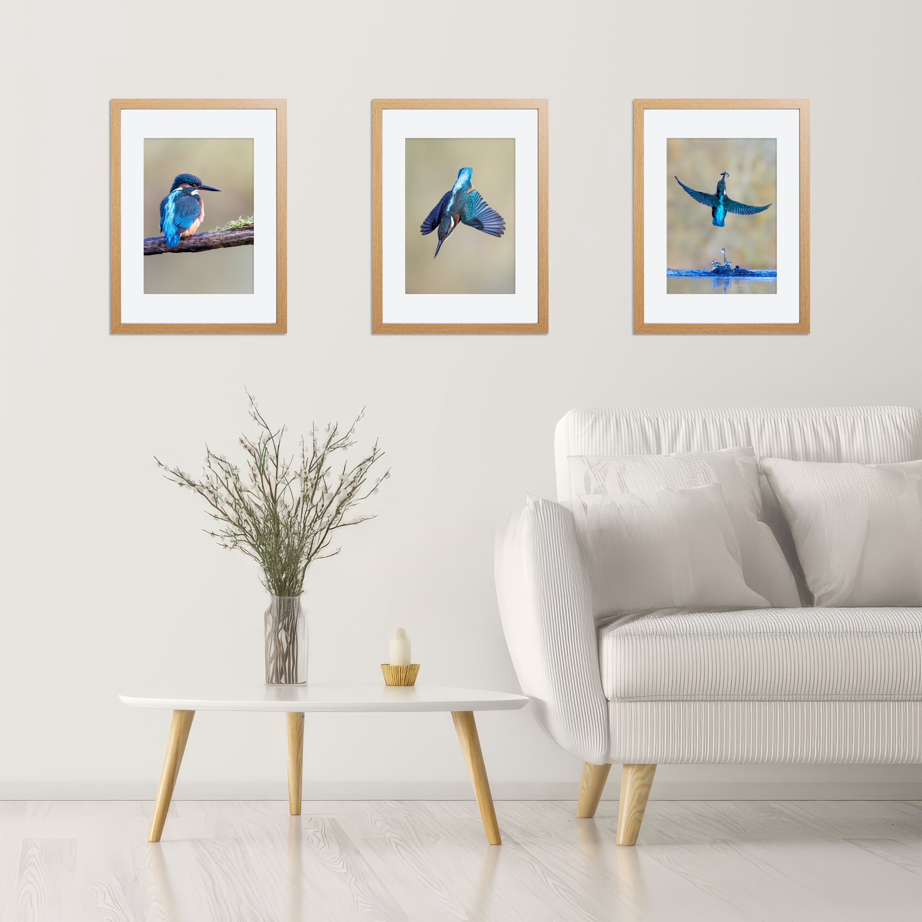 Kingfisher Framed A4 Print - Perched