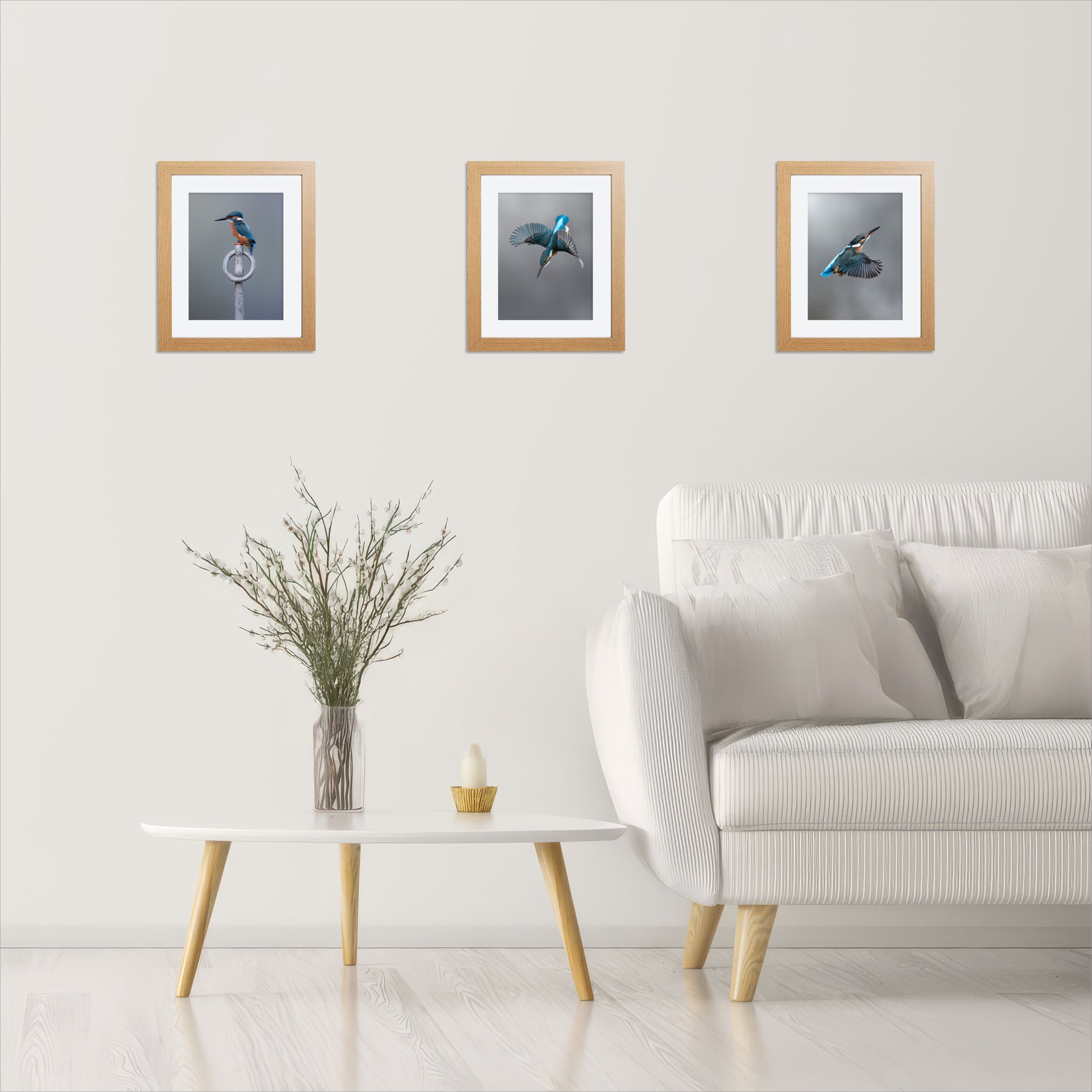 Kingfisher prints framed and mounted on a wall