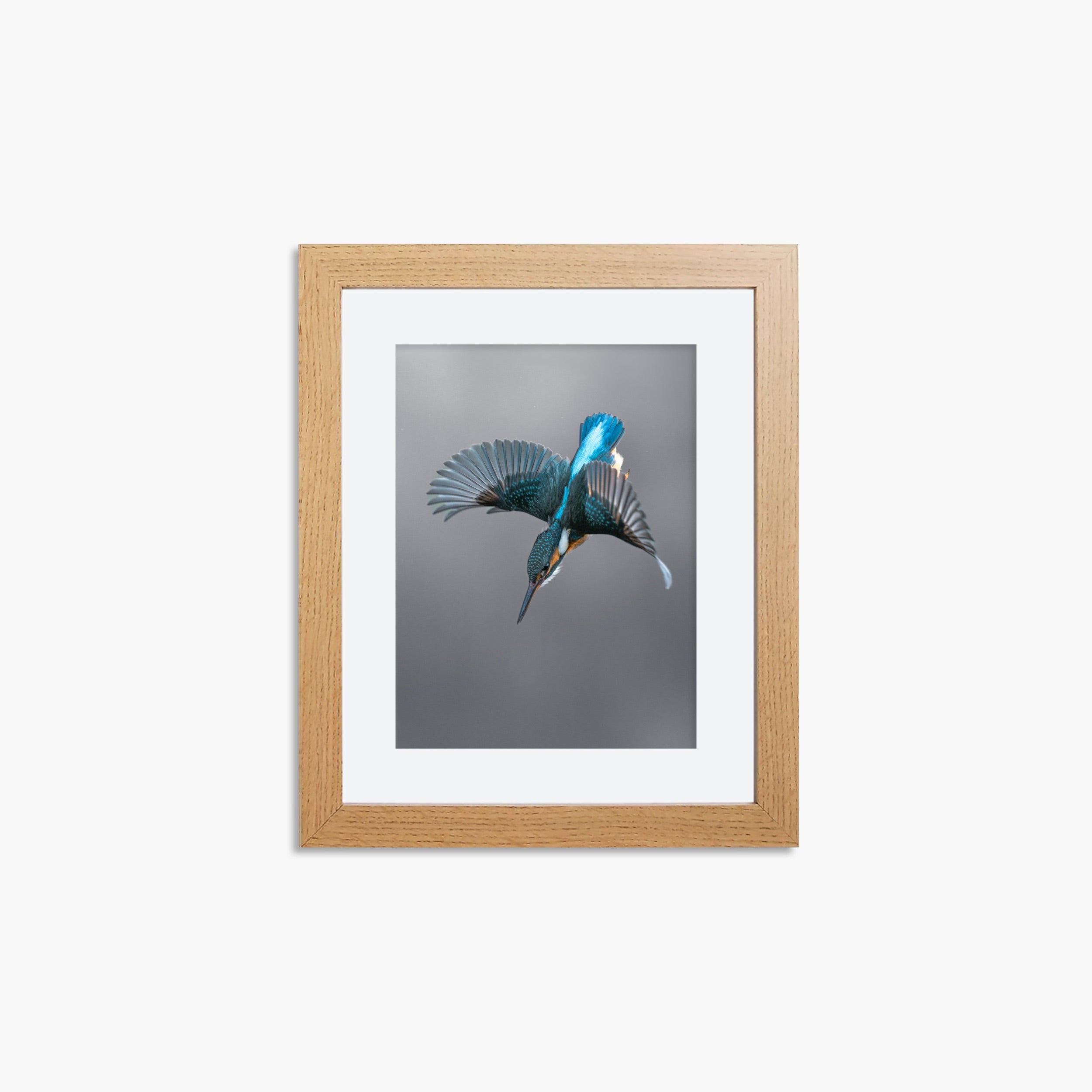 Kingfisher Mini Print - Dive