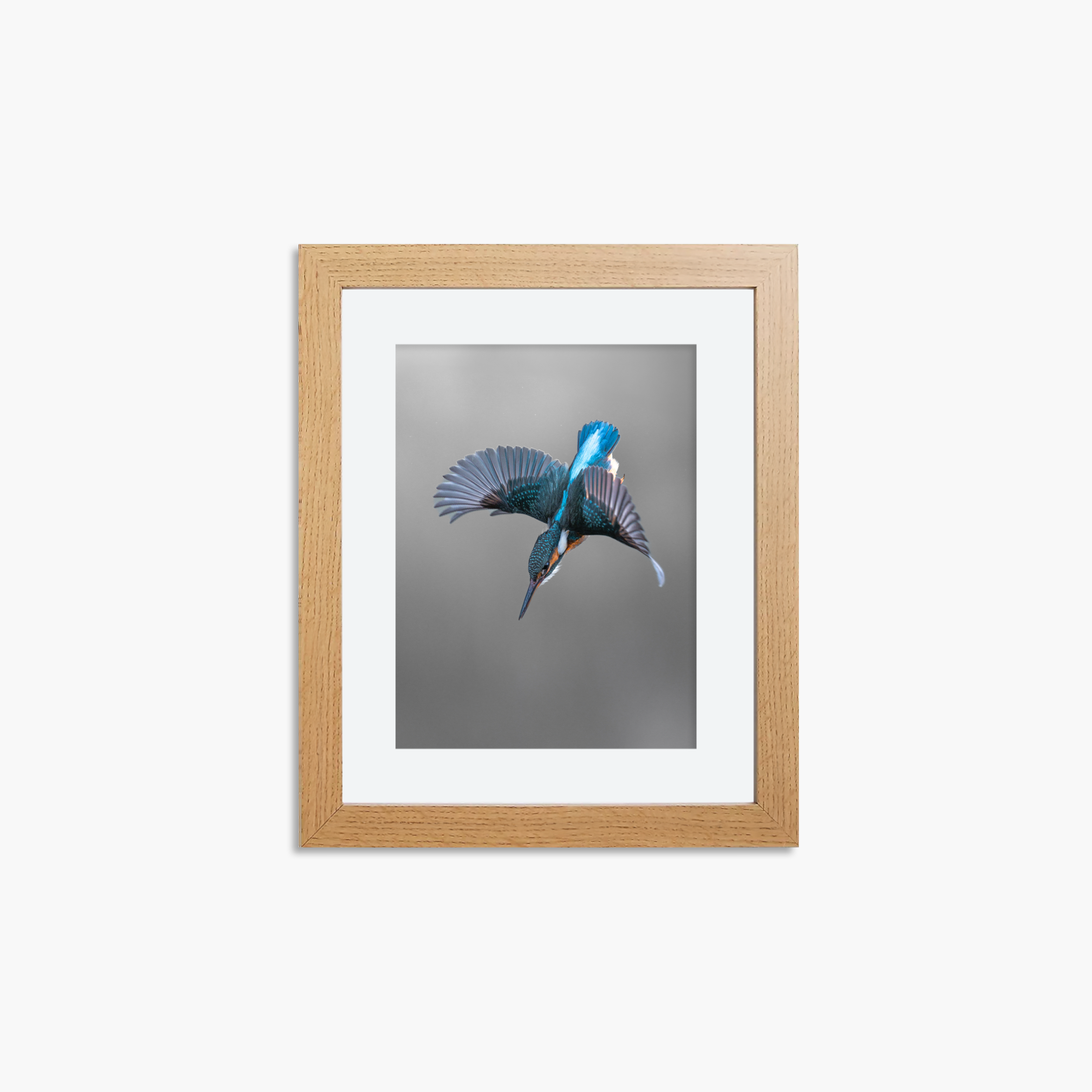 Kingfisher Mini Print - Dive