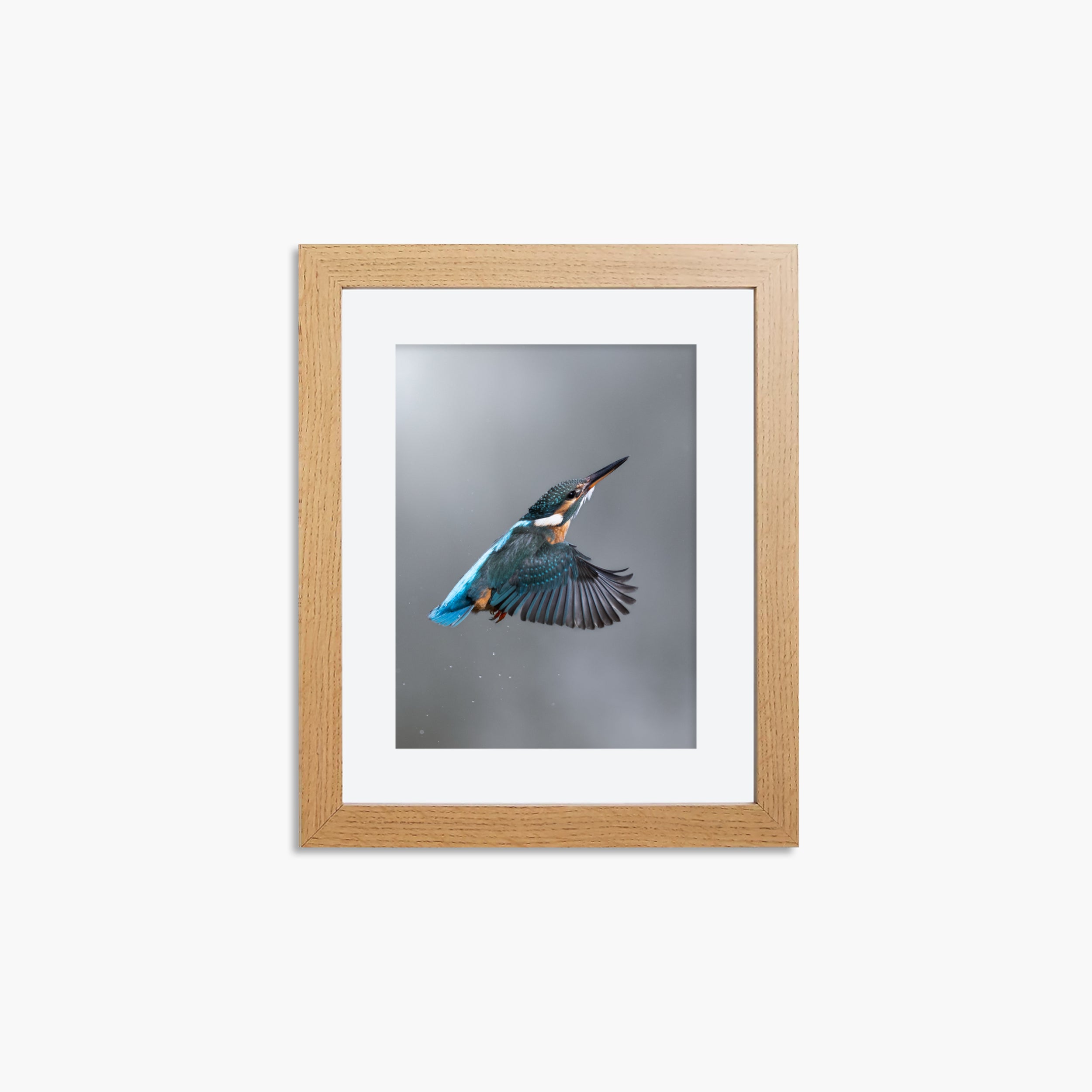 Kingfisher Mini Print - Return to Perch