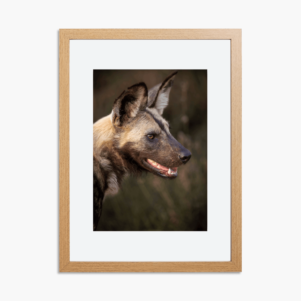 African wild framed wall art