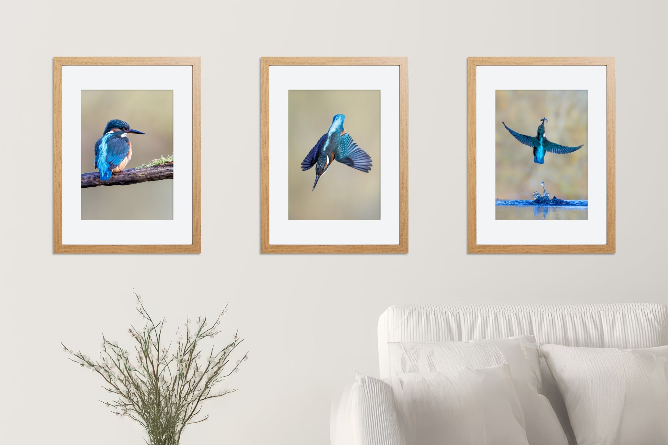 Framed Prints