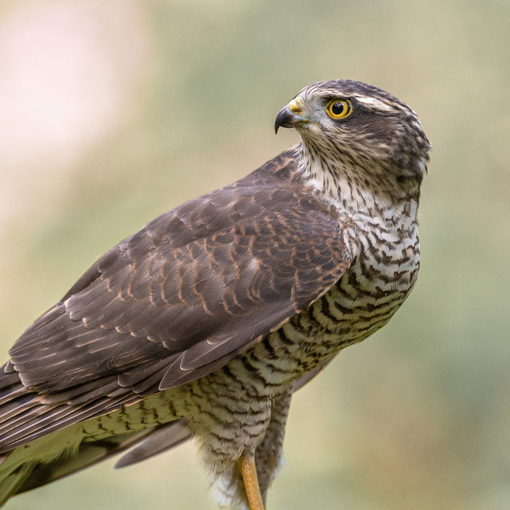 Bike Park Photo on Instagram