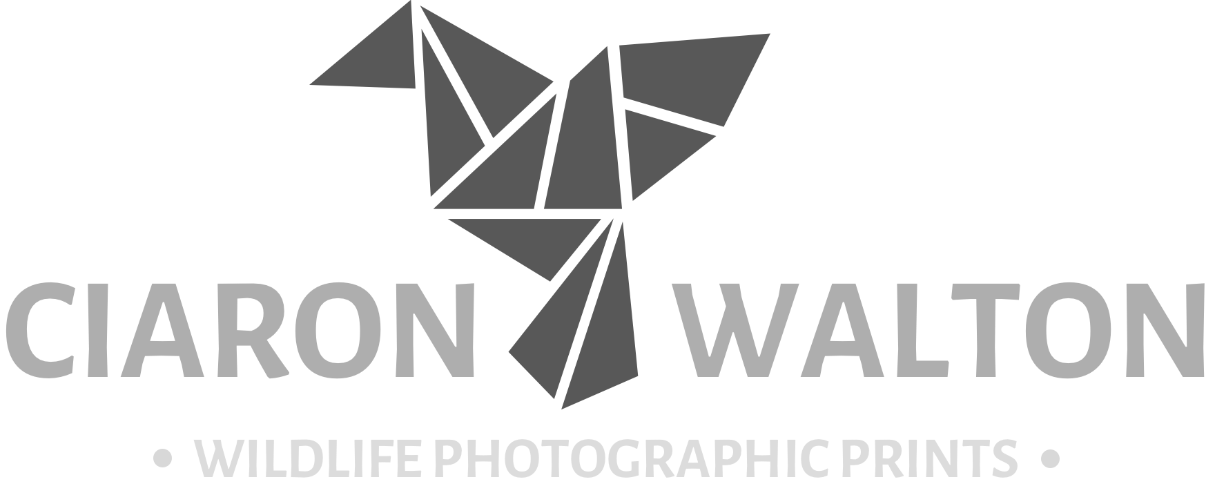 Wildlife Photographic Prints