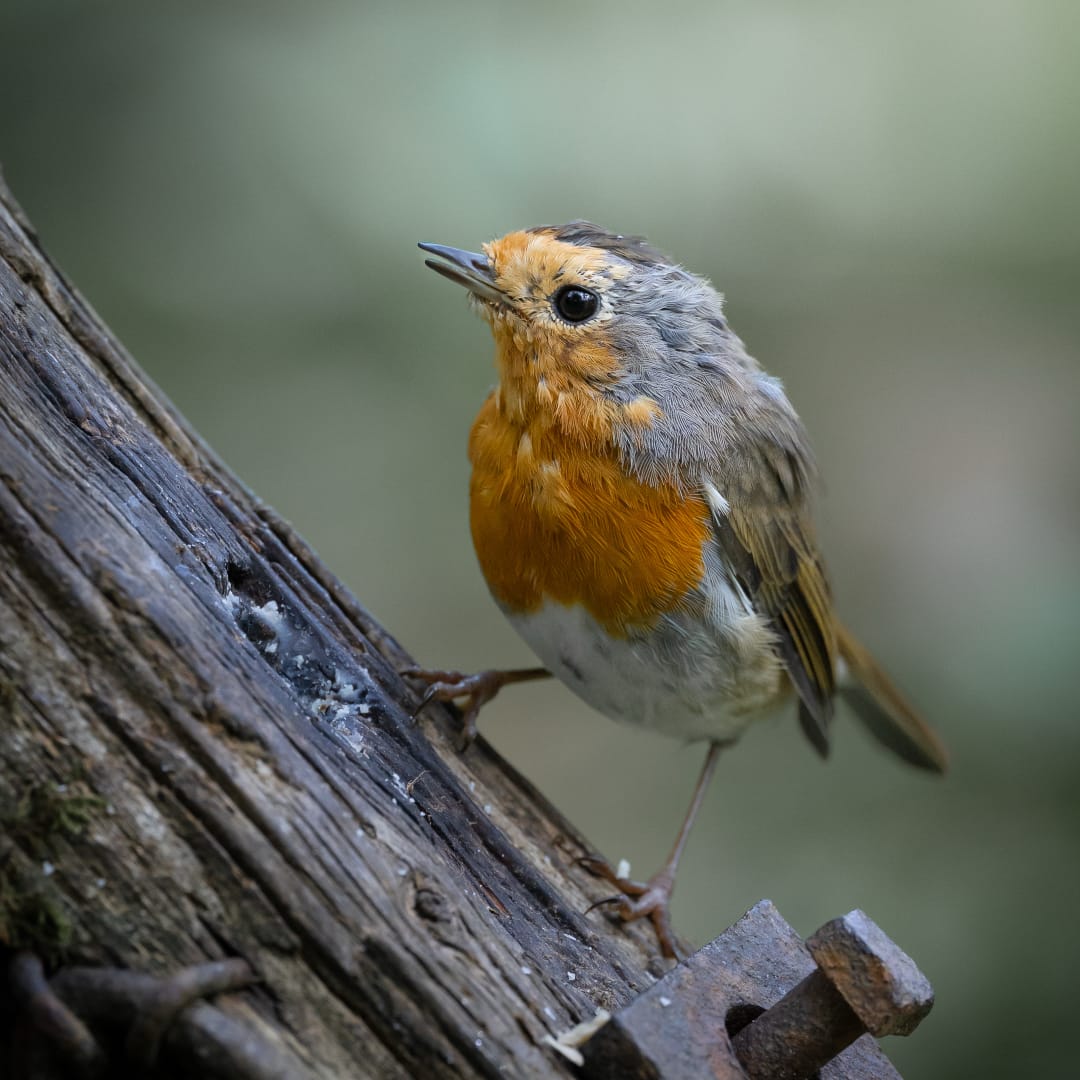 Bike Park Photo on Instagram