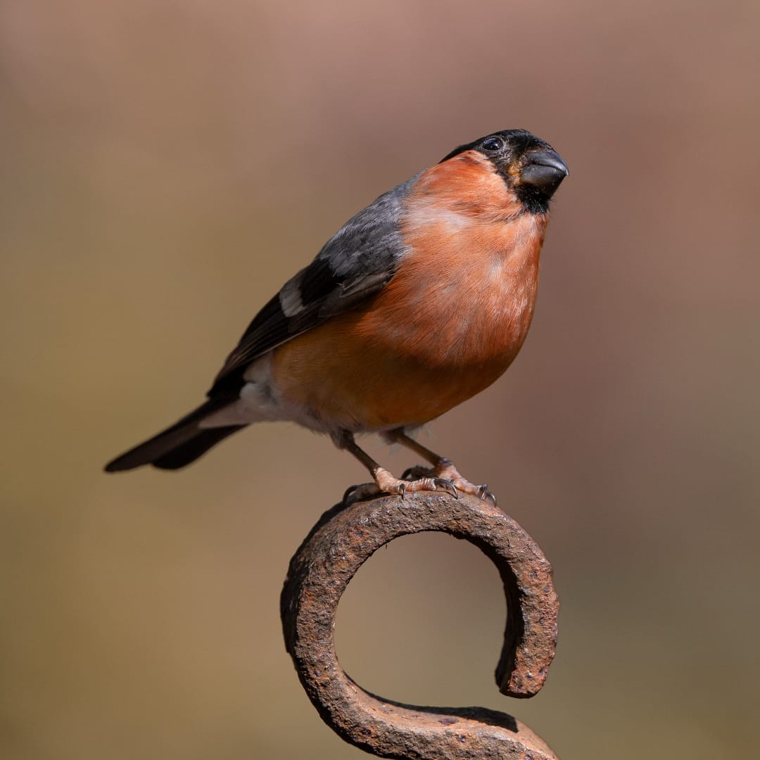 Bike Park Photo on Instagram