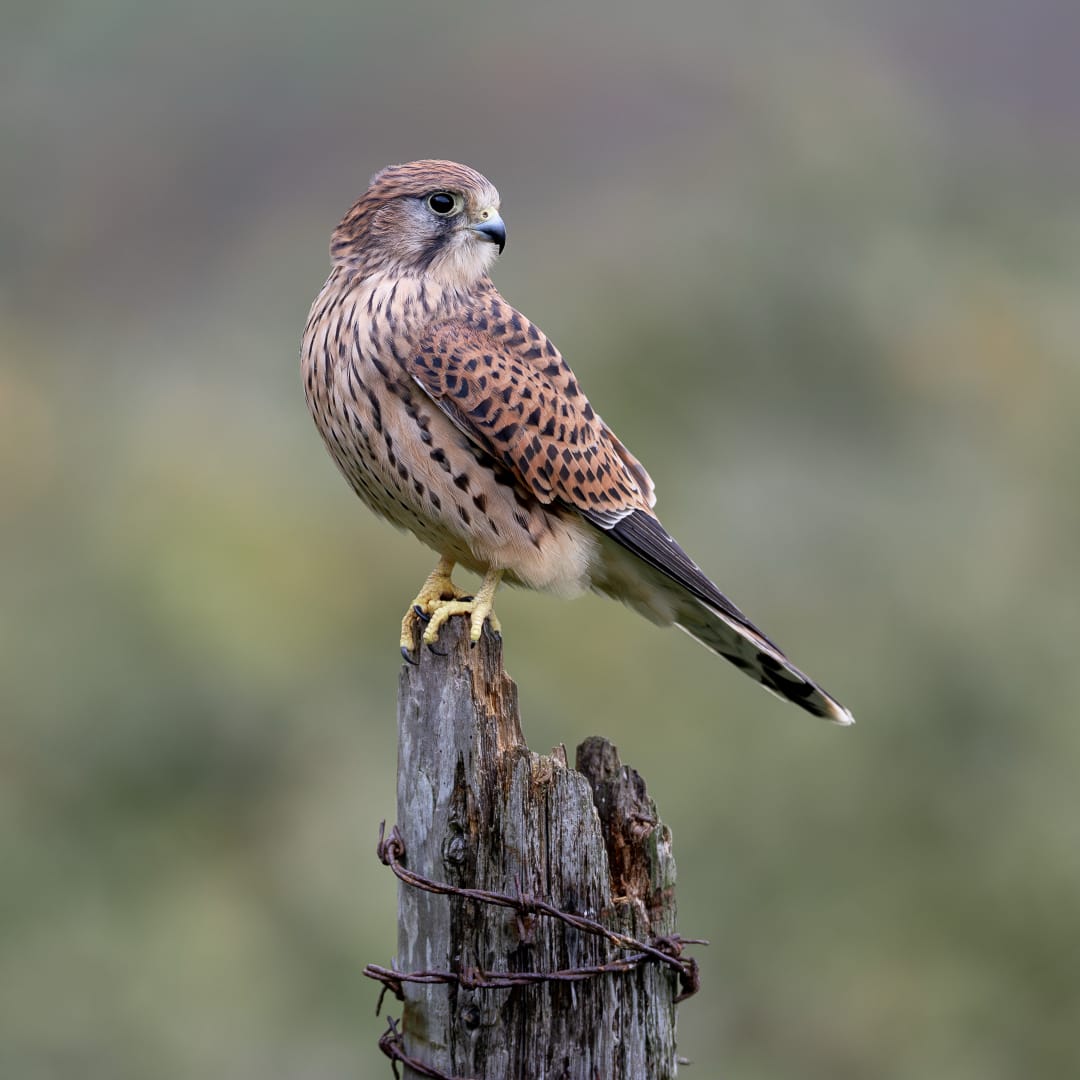 Bike Park Photo on Instagram