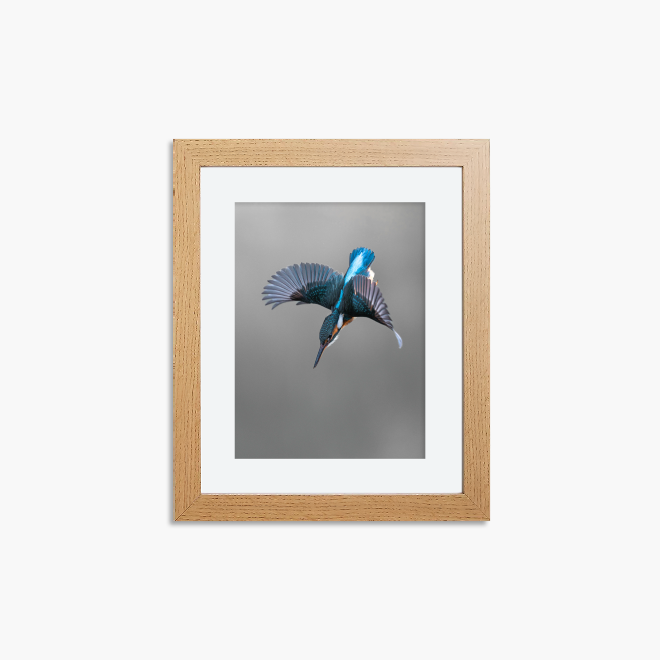 Kingfisher Framed 8x6" Mini Print - Dive