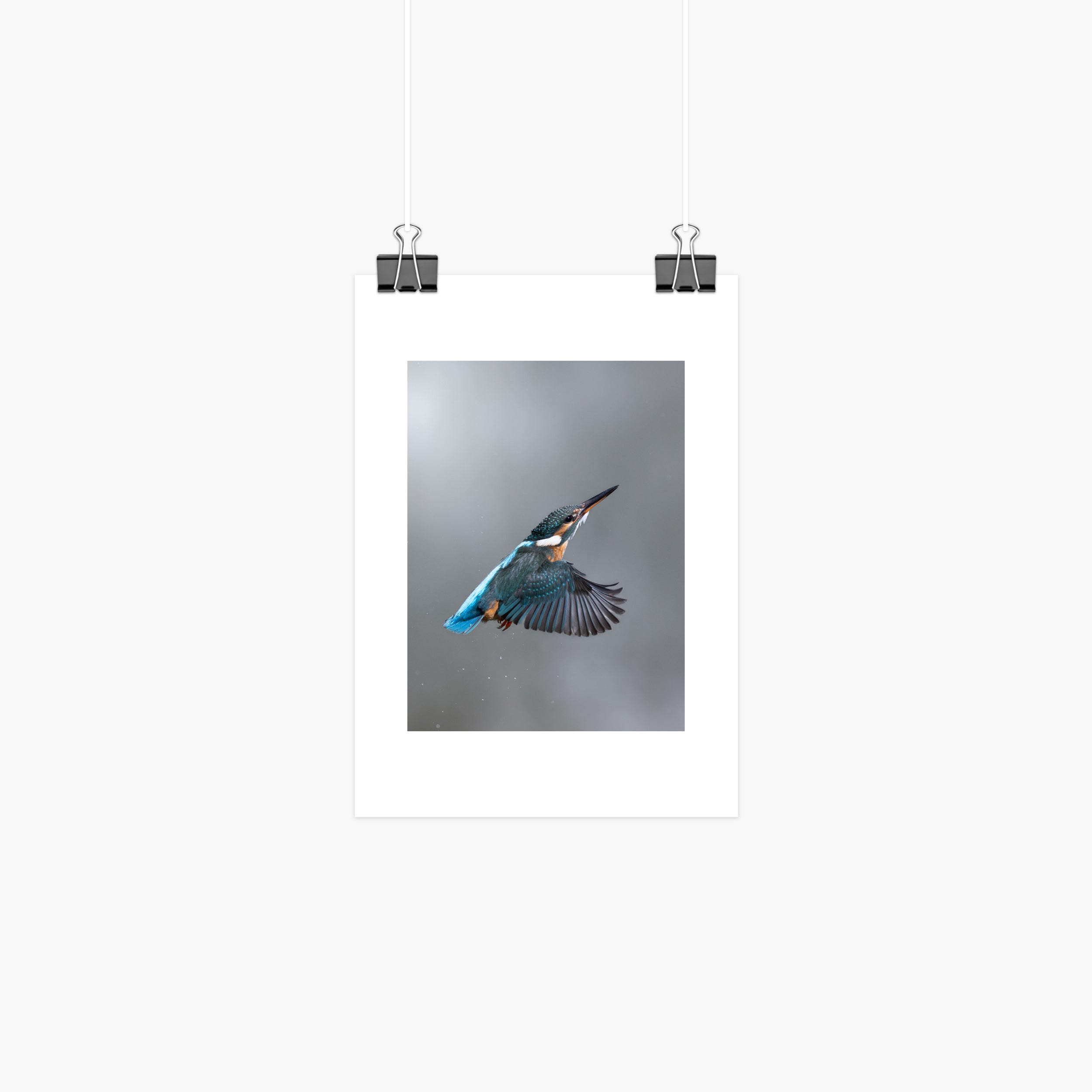 Kingfisher Mini Print - Return to Perch